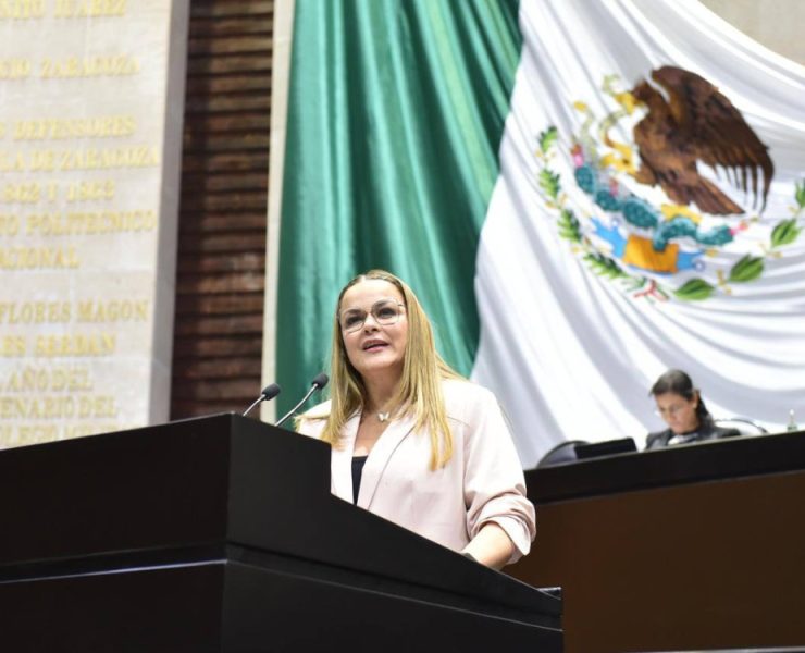 Mayor inclusión con justicia social para las infancias: Cecilia Patrón