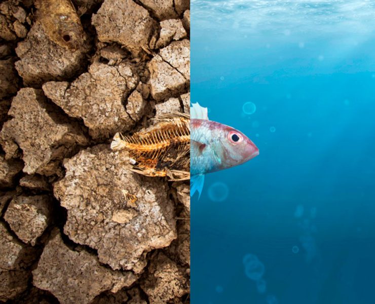 Alarmante estas son las consecuencias por el Fenómeno La Niña