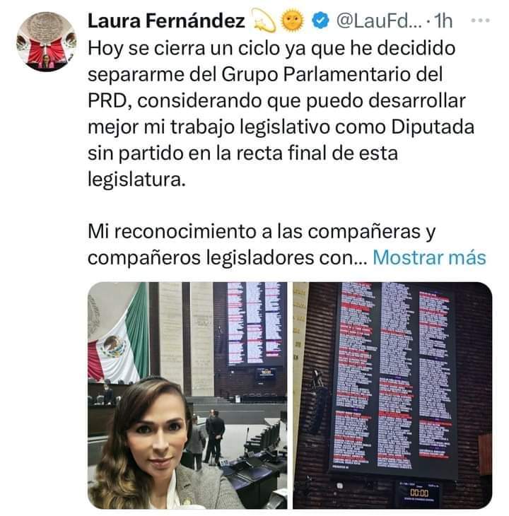 Ex alcaldesa de Puerto Morelos Laura Fernández Piña deja el PRD