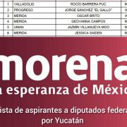 Se definió su lista de aspirantes a diputados federales por el estado de Yucatán