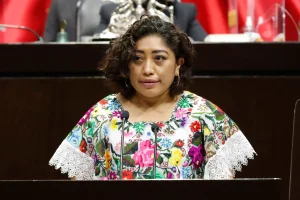 Mayusa González ha sido ya diputada federal en 2021 y es actualmente la dirigente estatal de las mujeres del partido naranja.