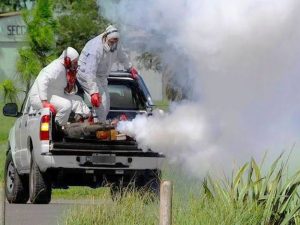 Ayuntamiento de Mérida cuida la salud de sus habitantes y por eso continúan en la lucha contra el mosco transmisor del Dengue.