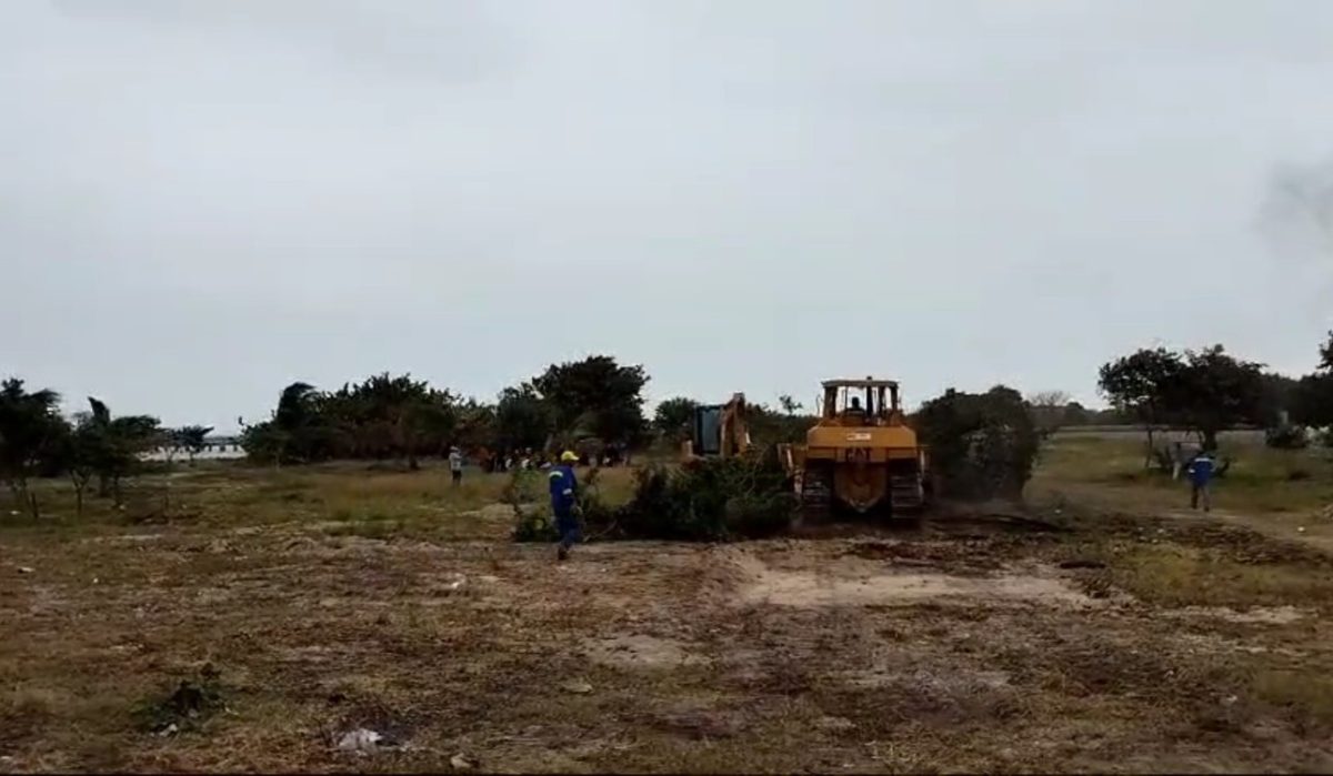 Grupo Rubio causa daño irreversible al medio ambiente