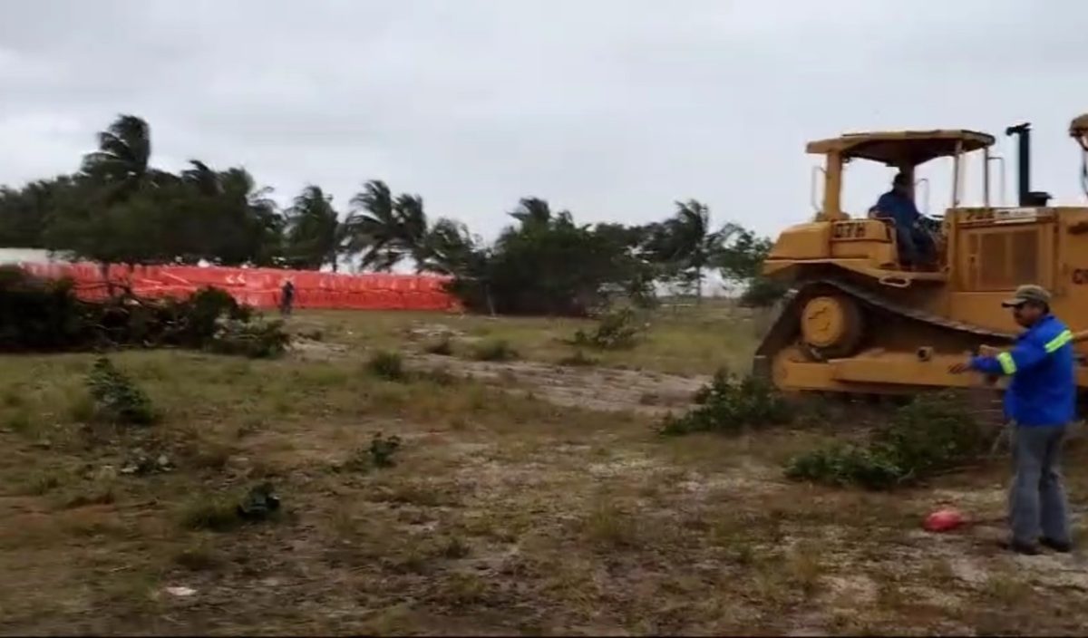 Grupo Rubio causa daño irreversible al medio ambiente