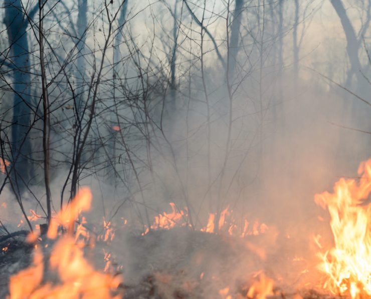 Sequía afectará a Tabasco este año por el fenómeno del 'niño'