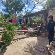 La SSP atiende alrededor de 381 emergencias por vientos