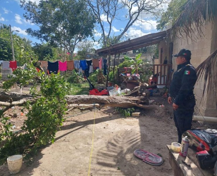 La SSP atiende alrededor de 381 emergencias por vientos