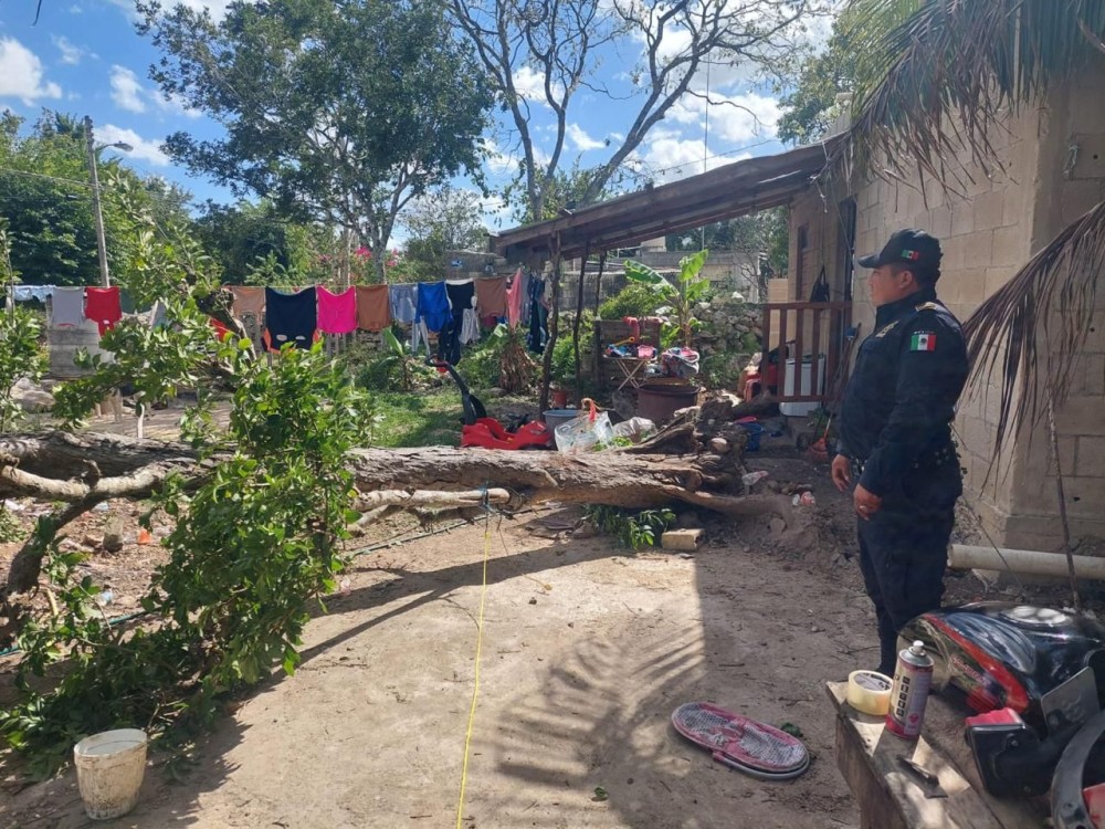 La SSP atiende alrededor de 381 emergencias por vientos