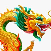 ¡2024!, Dragón de madera, creativo y vivaz