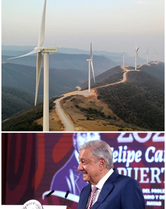 Analiza AMLO mecanismos para cumplir condiciones de COFECEE ante compra de 13 plantas de Iberdrola