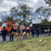 Tráiler cargado de pollos sufrió accidente en la carretera Villahermosa-Macuspana