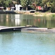 Colocan asoleaderos para cocodrilos en la Laguna de las Ilusiones en Villahermosa
