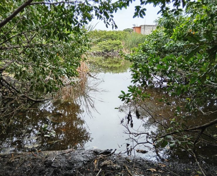 Piden a las autoridades rescatar la Laguna de Guadalupe en Ciudad del Carmen