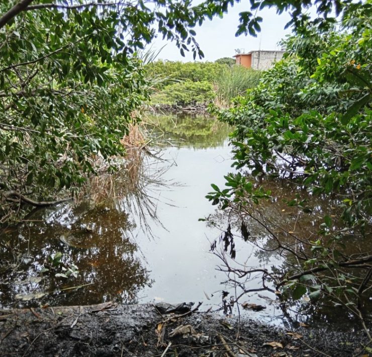 Piden a las autoridades rescatar la Laguna de Guadalupe en Ciudad del Carmen