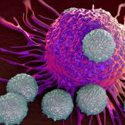 La OMS advierte del aumento de Cáncer