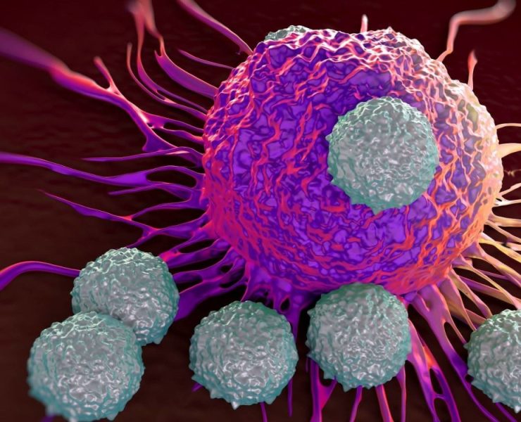 La OMS advierte del aumento de Cáncer