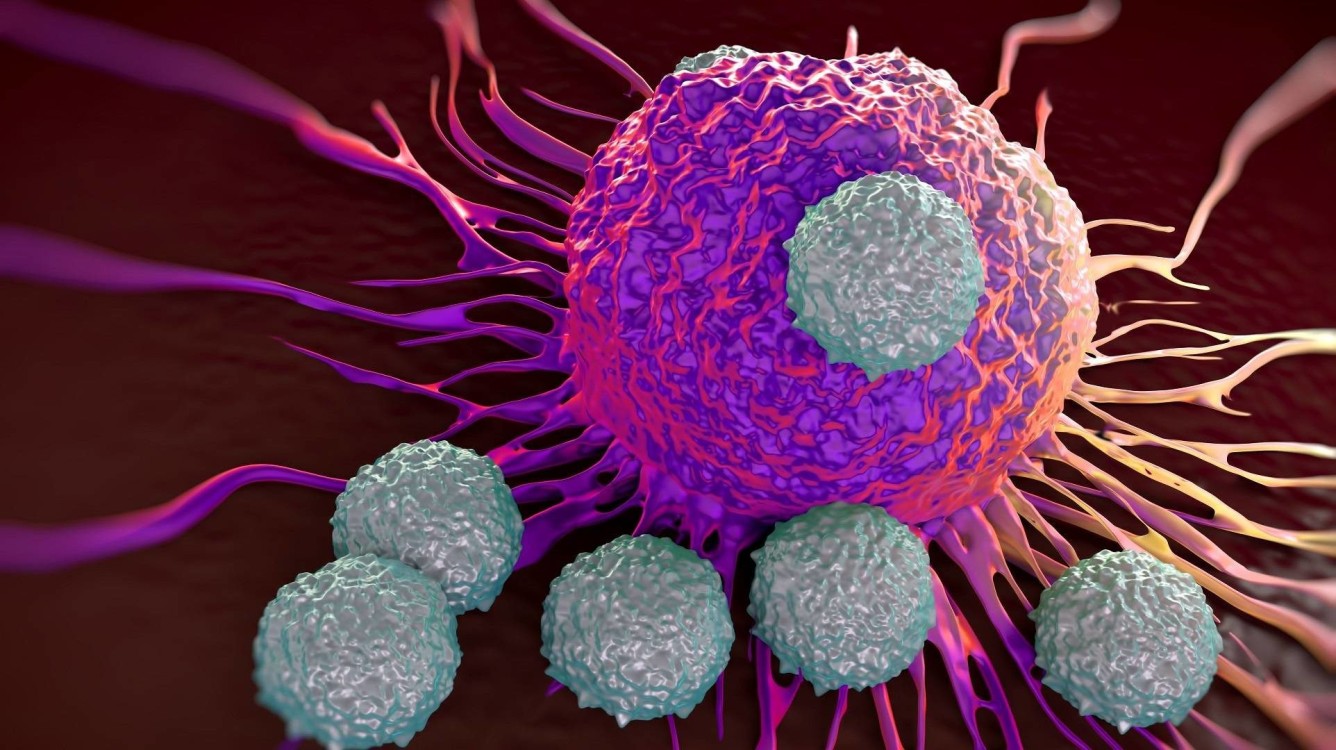 La OMS advierte del aumento de Cáncer