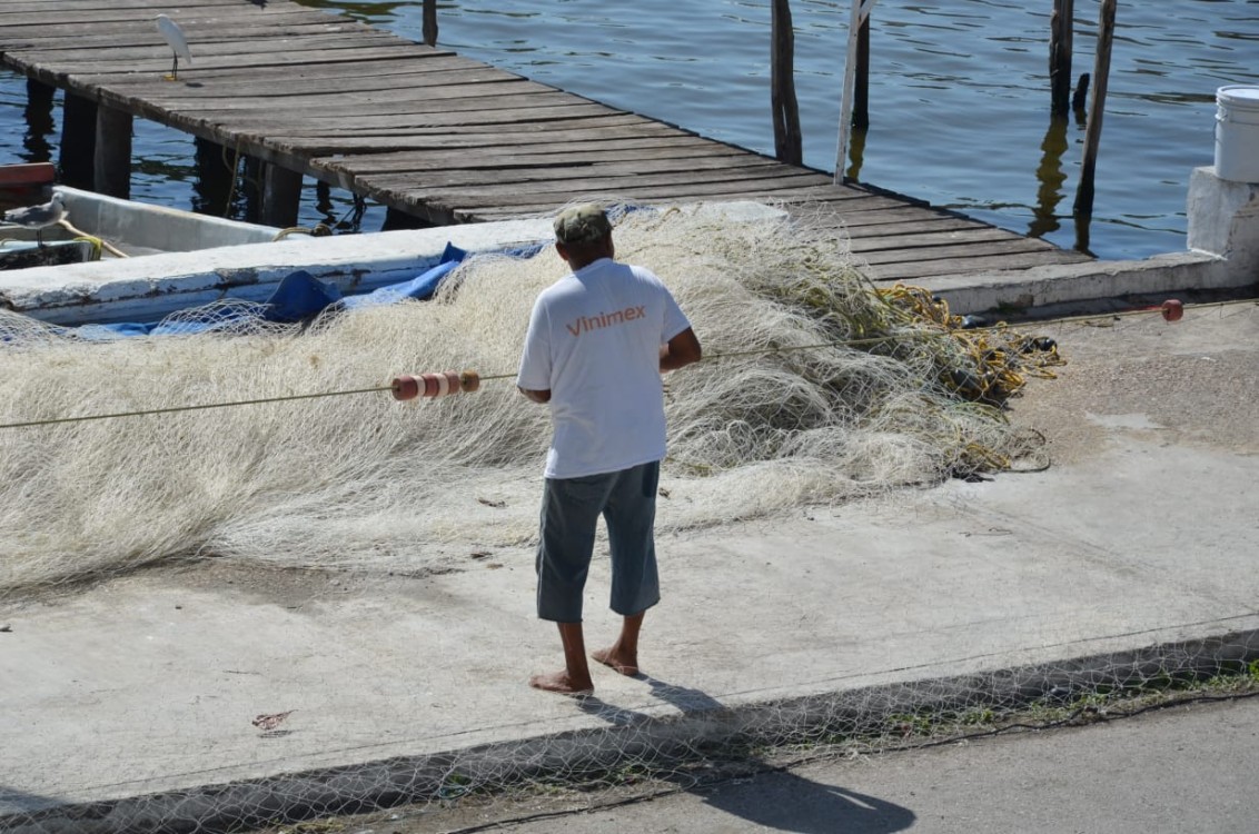 Pago del programa de veda y aja captura sería hasta el mes de mayo