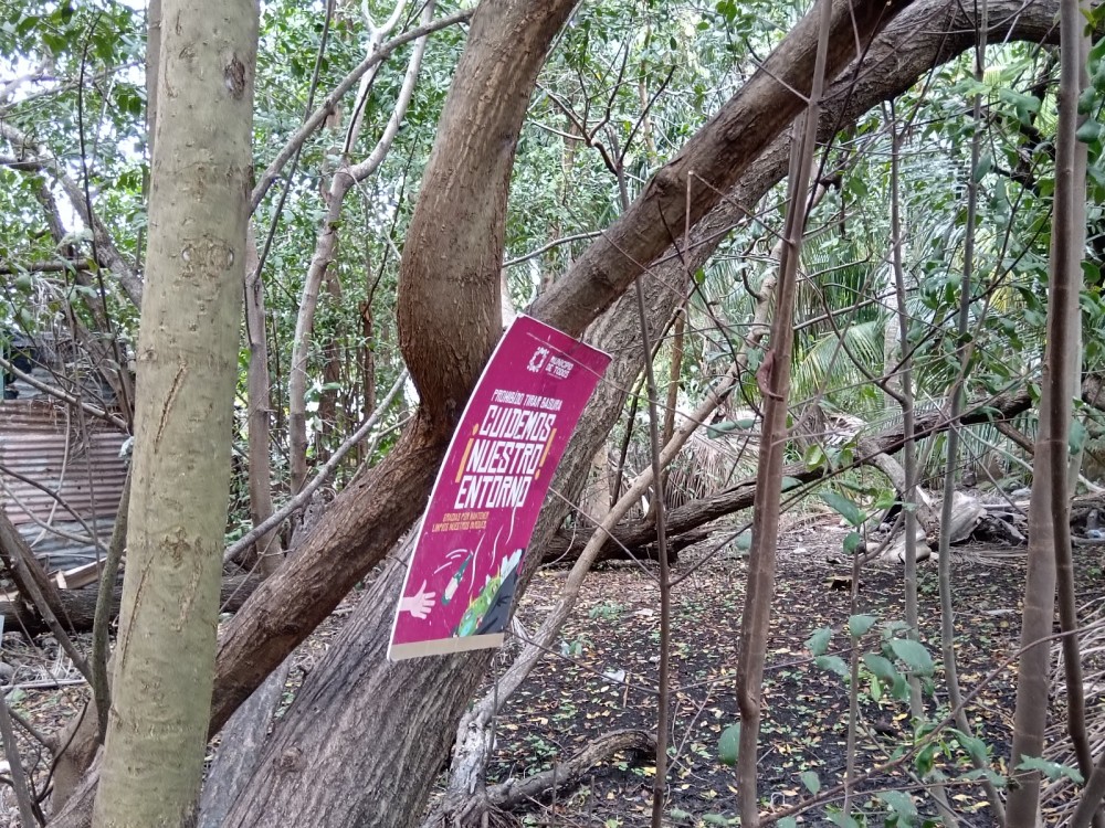 Piden a las autoridades rescatar la Laguna de Guadalupe en Ciudad del Carmen