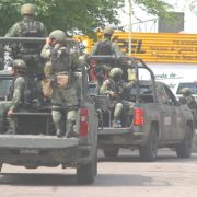 Saldo del operativo ‘Tabasco Seguro’ a un mes de su inicio: detenidos, vehículos, armas, drogas y animales exóticos asegurados