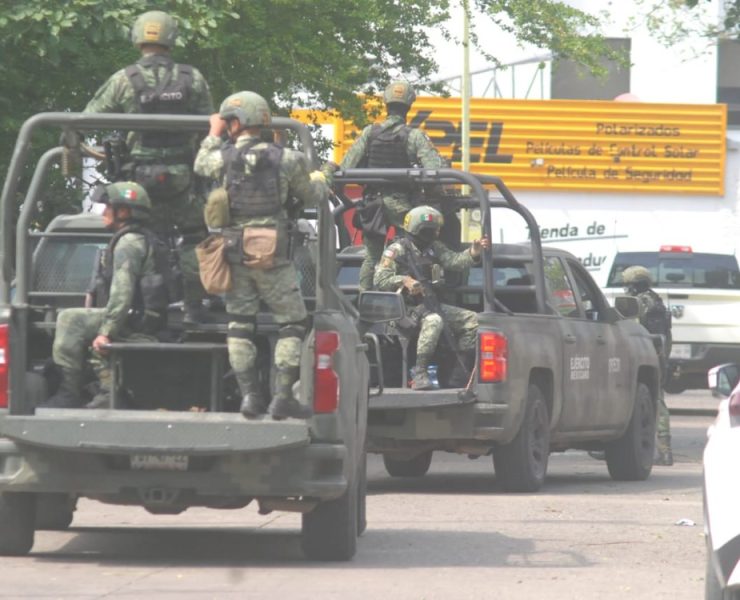 Saldo del operativo ‘Tabasco Seguro’ a un mes de su inicio: detenidos, vehículos, armas, drogas y animales exóticos asegurados