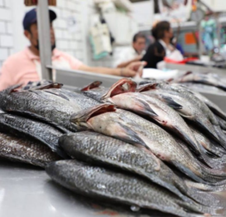 Vigilan venta de pescados y mariscos en Tabasco por temporada de Cuaresma
