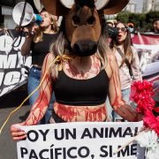 Activistas protestan en la Plaza de Toros tras reanudación de corridas