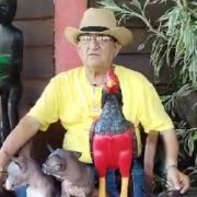 El Xoloitzcuintle es un símbolo mexicano y lo veneran en Tabasco