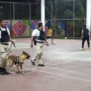 No se ha descuidado la seguridad en la Isla del Carmen