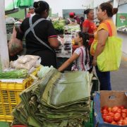 En crisis severa se encuentra sumida Ciudad del Carmen