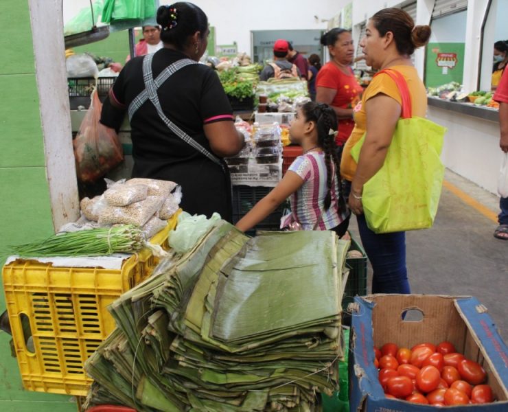 En crisis severa se encuentra sumida Ciudad del Carmen
