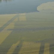 Centro de Proceso de Gas Atasta contamina los cuerpos de agua