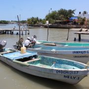 Sector pesquero ribereño podría desaparecer