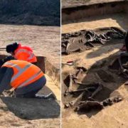 Arqueólogos revelan sacrificios de animales en un “complejo” sistema funerario neolítico