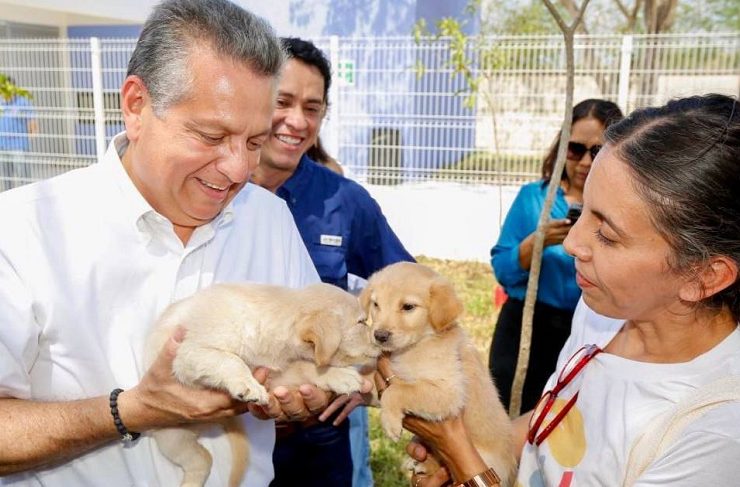 Ayuntamiento de Mérida promueve el cuidado tenencia responsable de mascotas