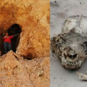 Encuentran un extraño cráneo en Coahuila