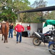 Caballo desbocado lesiona a niño en Seyé