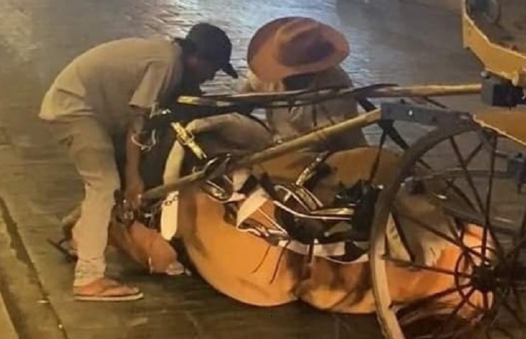 Captan caballo calesero en el suelo, a unas cuadras de la Plaza Grande