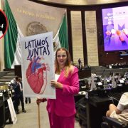 Cecilia Patrón continúa labor como diputada sin recibir prerrogativas