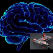 Crean micro-robot para tratar aneurismas