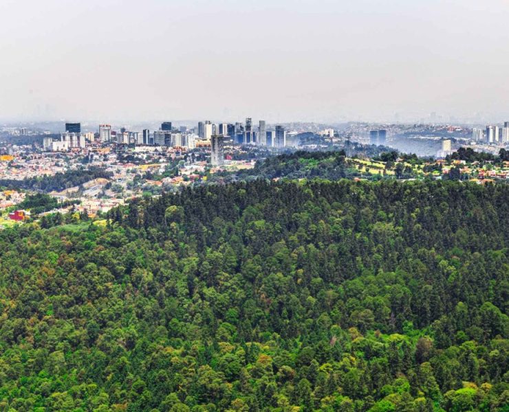 Martí Batres, presenta nueva iniciativa de ley ambiental