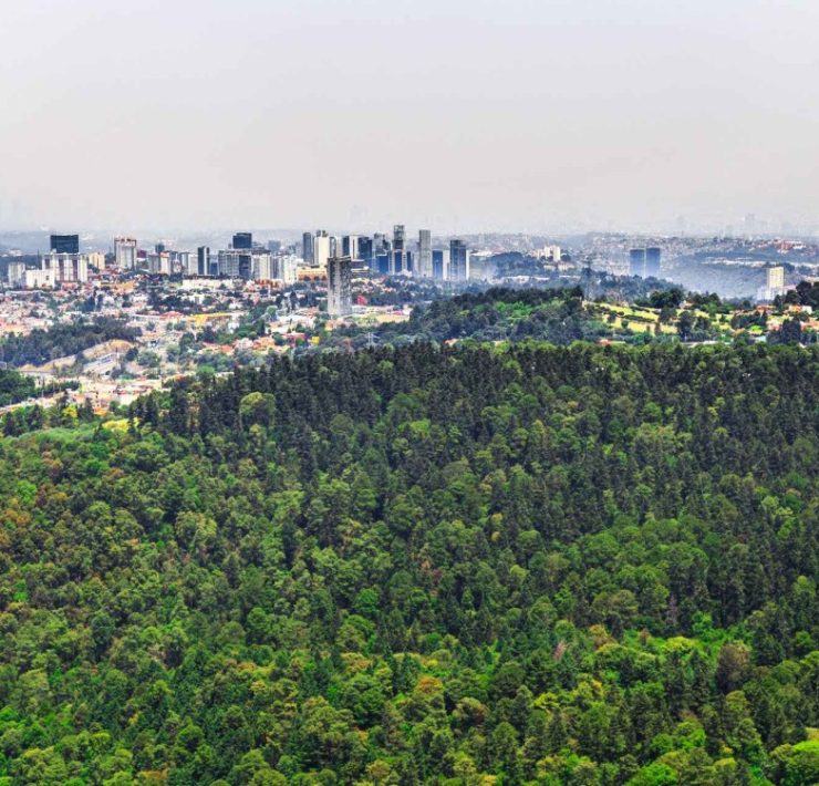 Martí Batres, presenta nueva iniciativa de ley ambiental