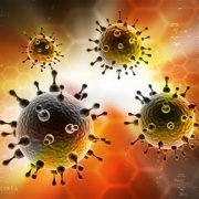 Una nueva bacteria anticancerígena