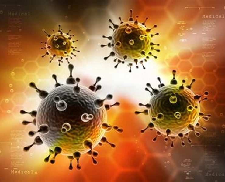 Una nueva bacteria anticancerígena