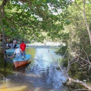 Pescadores de Progreso limpiaron "La Draguita", es un ojo de agua