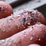 Científicos encuentran microplásticos en las arterias