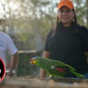 Prioridad del Gobierno Ciudadano de Vida Gómez Herrera: Protección y cuidado Ambiental