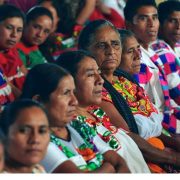 Reduce la población indígena