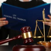 Violenta derechos constitucionales de empleo digno y alimentación sana, Indignación A.C. con Cristina Muñoz.