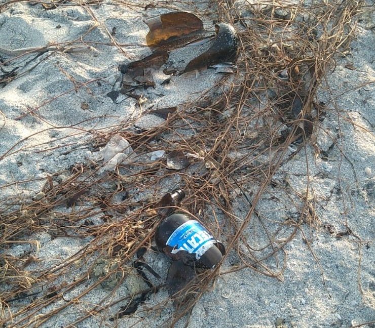 Gente inconsciente deja basura en las playas